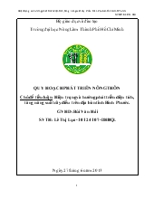 Tiểu luận Hiện trạng và hướng phát triển diện tích, tăng năng suất cây điều trên địa bàn tỉnh Bình Phước