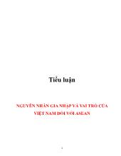 Tiểu luận Nguyên nhân gia nhập và vai trò của Việt Nam đối với ASEAN