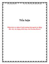 Tiểu luận Phân tích các nhân tố môi trường bên ngoài tác động đến việc xây dựng chiến lược của Furama Resort
