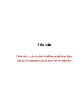Tiểu luận Phân tích cơ cấu tổ chức và thẩm quyền hoạt động của các ủy ban nhân quyền châu Mỹ và châu Phi