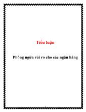 Tiểu luận Phòng ngừa rủi ro cho các ngân hàng