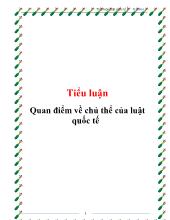 Tiểu luận Quan điểm về chủ thể của luật quốc tế