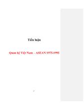 Tiểu luận Quan hệ Việt Nam – ASEAN 1975-1995