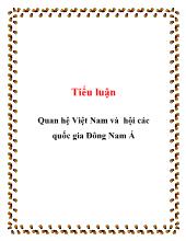 Tiểu luận Quan hệ Việt Nam và hội các quốc gia Đông Nam Á