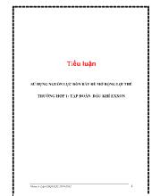 Tiểu luận Sử dụng nguồn lực đòn bẩy để mở rộng lợi thế, trường hợp 1: tập đoàn dầu khí EXXON