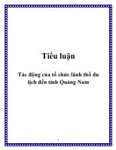 Tiểu luận Tác động của tổ chức lãnh thổ du lịch đến tỉnh Quảng Nam