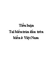 Tiểu luận Tai biến tràn dầu trên biển ở Việt Nam