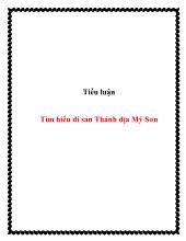 Tiểu luận Tìm hiểu di sản Thánh địa Mỹ Sơn