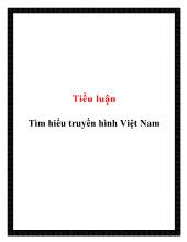 Tiểu luận Tìm hiểu truyền hình Việt Nam