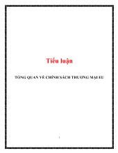Tiểu luận Tổng quan về chính sách thương mại EU