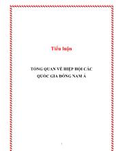 Tiểu luận Tổng quan về hiệp hội các quốc gia Đông Nam Á