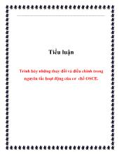 Tiểu luận Trình bày những thay đổi và điều chỉnh trong nguyên tắc hoạt động của cơ chế OSCE