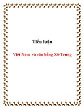 Tiểu luận Việt Nam và cân bằng Xô-Trung