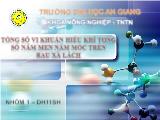 Tổng số vi khuẩn hiếu khí tổng số nấm men nấm mốc trên rau xà lách