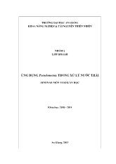 Ứng dụng pseudomonas trong xử lý nước thải seminar môn vi khuẩn học