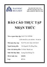 Báo cáo thực tập nhận thức tại Ban tài chính-Liên đoàn lao động thành phố Hồ Chí Minh