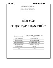 Báo cáo Thực tập nhận thức tại Công ty Cổ phần Xuất nhập khẩu Tiến Minh