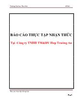 Báo cáo Thực tập nhận thức tại công ty TNHH thương mại & dịch vụ Hợp Trường An