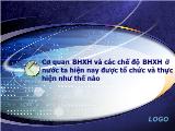 Cơ quan BHXH và các chế độ BHXH ở nước ta hiện nay được tổ chức và thực hiện như thế nào