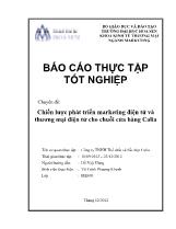 Chuyên đề Chiến lược phát triển marketing điện tử và thương mại điện tử cho chuỗi cửa hàng Calia