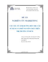 Đề án Nghiên cứu marketing các yếu tố ảnh hưởng đến nhu cầu sử dụng cà phê nguyên chất trên thị trường thành phố Hồ Chí Minh