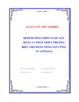 Luận án định hướng chiến lược xây dựng và phát triển thương hiệu cho hàng nông sản công ty Antesco