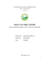Báo cáo Thực hành môn: Sinh học phân tử kỹ - Thuật di truyền