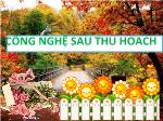 Đề tài Tìm hiểu các phương pháp khiểm tra nguyên liệu trong công nghệ sản xuất gạo