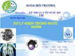 Tiểu luận: Xử lý Asen trong nước ngầm