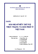 Chuyên đề Bảo hộ sở hữu trí tuệ thực trạng và giải pháp ở Việt Nam