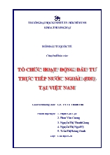 Chuyên đề Tổ chức hoạt động đầu tư trực tiếp nước ngoài (FDI) tại Việt Nam