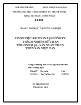 Công việc kế toán tại công ty trách nhiệm hữu hạn thương mại – Sản xuất thú y thủy sản Việt Tân