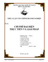 Đề tài Chi phí đại diện thực tiễn và giải pháp