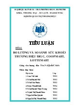 Đề tài Đo lường và so sánh sức khoẻ 3 thương hiệu bigC, coopmart, lottemart