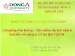 Đề tài Giải pháp marketing - Mix nhằm thu hút khách lịch đến với công ty cổ phần du lịch Việt Đà