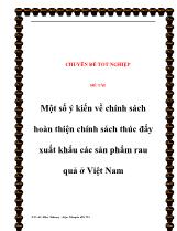 Đề tài Một số ý kiến về chính sách hoàn thiện chính sách thúc đẩy xuất khẩu các sản phẩm rau quả ở Việt Nam