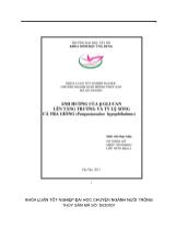 Khóa luận Ảnh hưởng của β-Glucan lên tăng trưởng và tỷ lệ sống cá tra giống (pangasianodon hypophthalmus)
