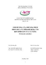 Luận văn Ảnh hưởng của phương pháp phun mưa và tiêm kích dục tố đến sinh sản của cá vàng