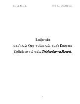 Luận văn Khảo Sát Quy Trình Sản Xuất Enzyme Cellulase Từ Nấm Trichoderma Reesei