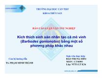 Luận văn Kích thích sinh sản nhân tạo cá mè vinh (Barbodes gonionotus) bằng một số phương pháp khác nhau