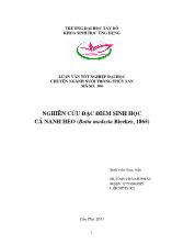 Luận văn Nghiên cứu đặc điểm sinh học cá nanh heo (botia modestableeker, 1865)