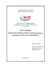 Luận văn Thử nghiệm nuôi luân trùng nước ngọt (brachionus calyciflorus) bằng tảo chlorella