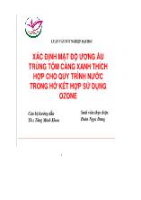 Luận văn Xác định mật độ ương ấu trùng tôm càng xanh thích hợp cho quy trình nước trong hở kết hợp sử dụng ozone