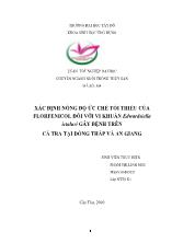 Luận văn Xác định nồng độ ức chế tối thiểu của florfenicol đối với vi khuẩn edwardsiella ictaluri gây bệnh trên cá tra tại Đồng Tháp và An Giang
