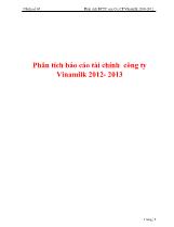 Phân tích báo cáo tài chính công ty Vinamilk 2012- 2013