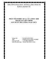 Phân tích hiệu quả cây Atiso khi tham gia liên minh sản xuất trà Atiso Ngọc Duy