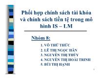 Phối hợp chính sách tài khóa và chính sách tiền tệ trong mô hình IS – LM