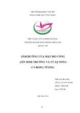 Tiểu luận Ảnh hưởng của mật độ ương lên sinh trưởng và tỷ lệ sống cá bống tượng