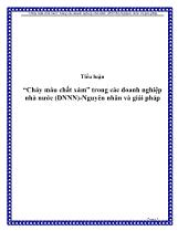 Tiểu luận “Chảy máu chất xám” trong các doanh nghiệp nhà nước (DNNN) - Nguyên nhân và giải pháp