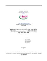Tiểu luận Khảo sát hiện trạng nuôi tôm thẻ chân trắng litopenaeus vannamei tại huyện Bình Đại tỉnh Bến Tre